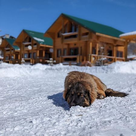 فيلا باكوريانيفي Log House المظهر الخارجي الصورة